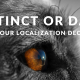 Should instinct or data drive your localization decisions?